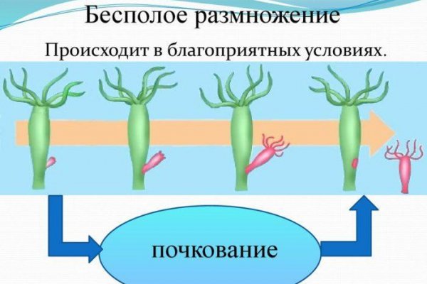 Кракен маркетплейс kr2web in площадка торговая