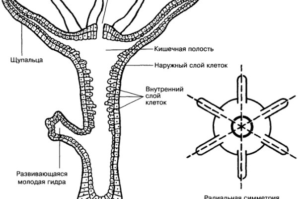 2krn cc кракен