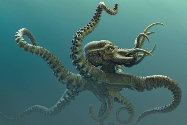 Kraken дарк магазин